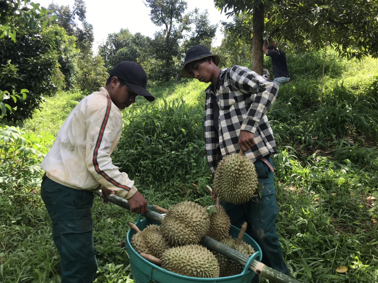 Khánh Hòa: Tổng dư nợ các chương trình đạt trên  hơn 4.230 tỷ đồng - Ảnh 1.