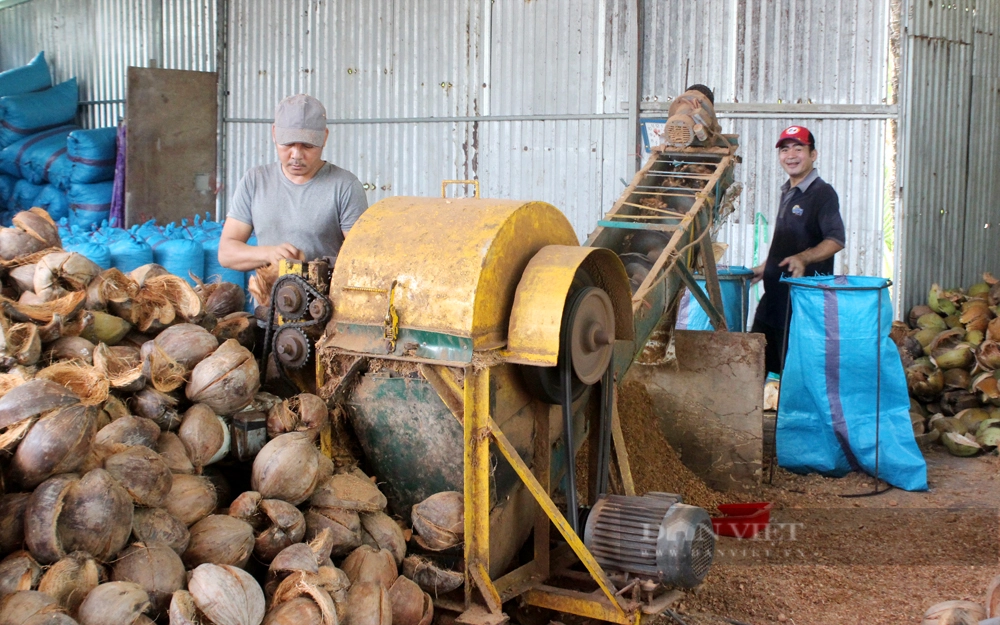 HTX Sơn Phú sẽ tổ chức lại không thu mua, sơ chế, chế biến để nâng cao giá trị sản phẩm. Ảnh: Trần Khánh