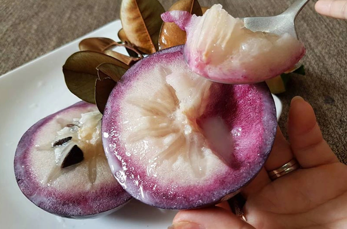 Không ngờ quả vú sữa ngọt lịm lại có nhiều công dụng, người tiểu đường ăn cũng tốt- Ảnh 5. Không ngờ quả vú sữa ngọt lịm lại có nhiều công dụng, người tiểu đường ăn cũng tốt- Ảnh 5.