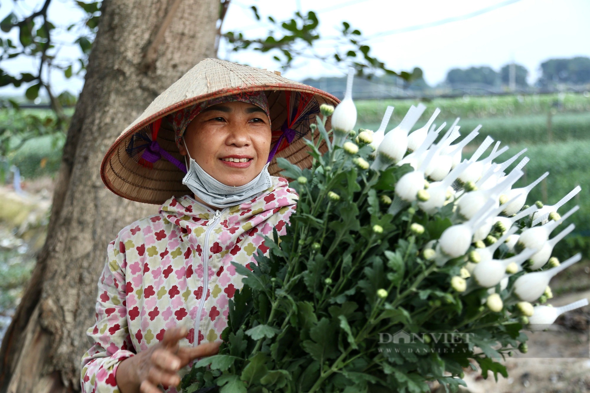 Ảnh ấn tượng tuần: Cây bồ đề mạ vàng 24 tỷ đồng và cảnh mưa rét liên tục ở Hà Nội- Ảnh 4.