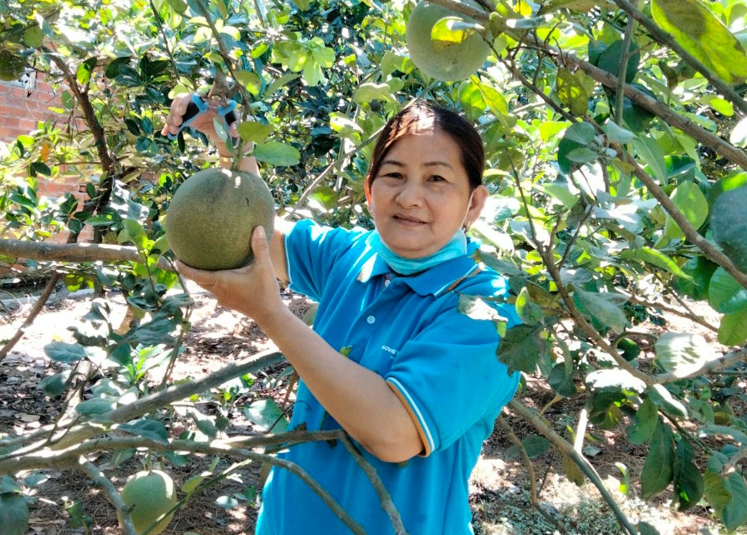 Diên Khánh: Tổng dư nợ đạt trên 518 tỷ đồng- Ảnh 1. Diên Khánh: Tổng dư nợ đạt trên 518 tỷ đồng- Ảnh 1.