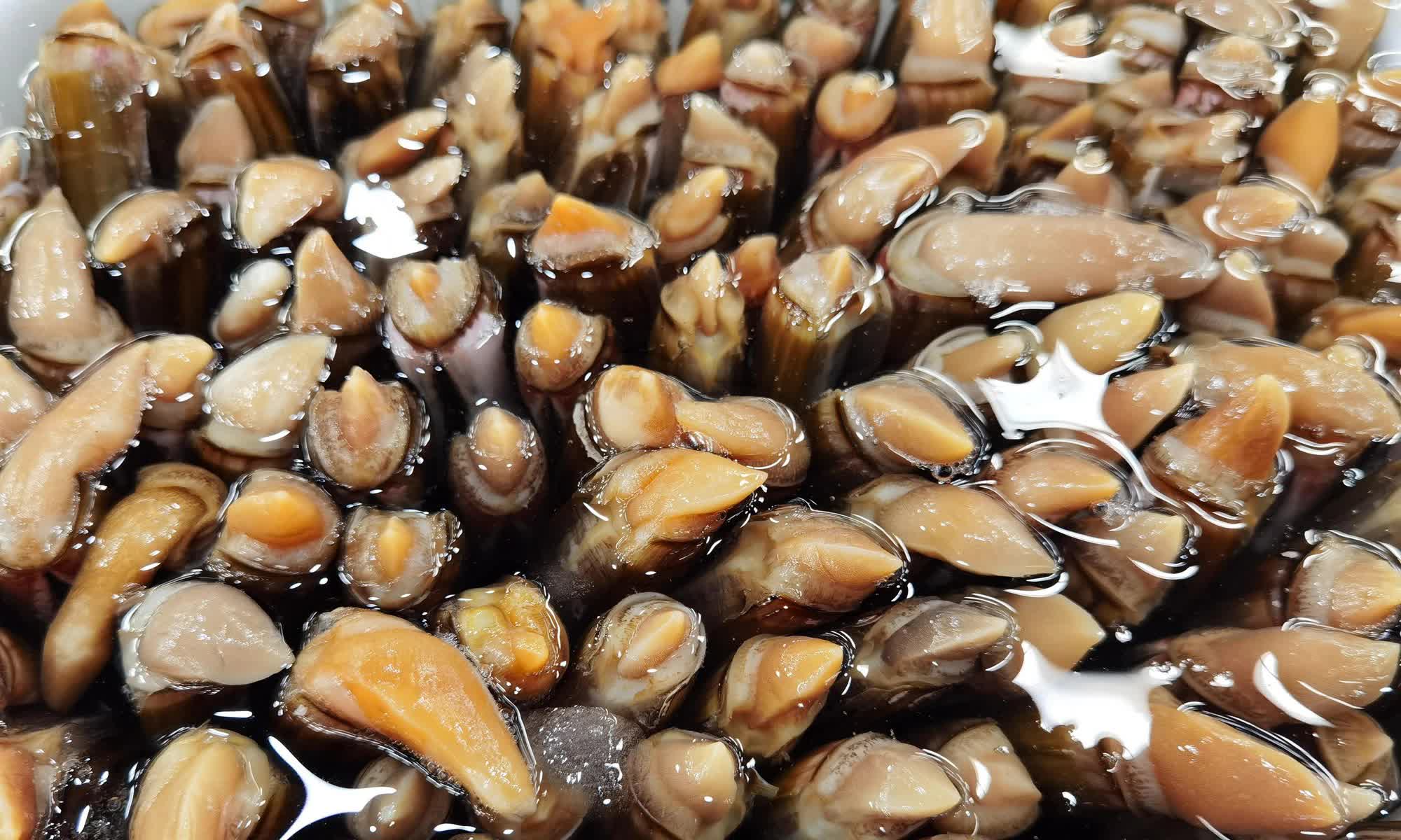 Không ngờ ốc móng tay có dinh dưỡng gấp 22 lần thịt lợn, ăn đơn giản cũng ngon, giá lại rất rẻ- Ảnh 1. Không ngờ ốc móng tay có dinh dưỡng gấp 22 lần thịt lợn, ăn đơn giản cũng ngon, giá lại rất rẻ- Ảnh 1.