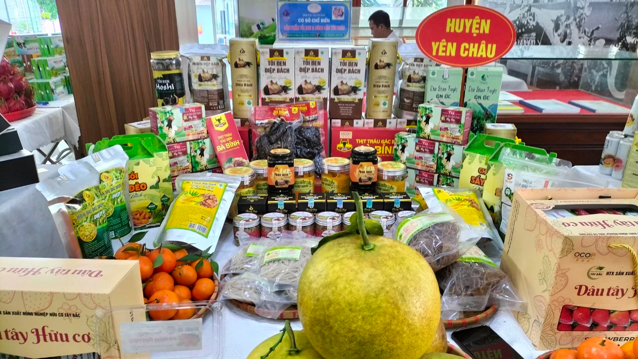 Nông nghiệp, nông thôn, xây dựng nông thôn mới huyện Yên Châu với nhiều khởi sắc- Ảnh 13. Nông nghiệp, nông thôn, xây dựng nông thôn mới huyện Yên Châu với nhiều khởi sắc- Ảnh 13.
