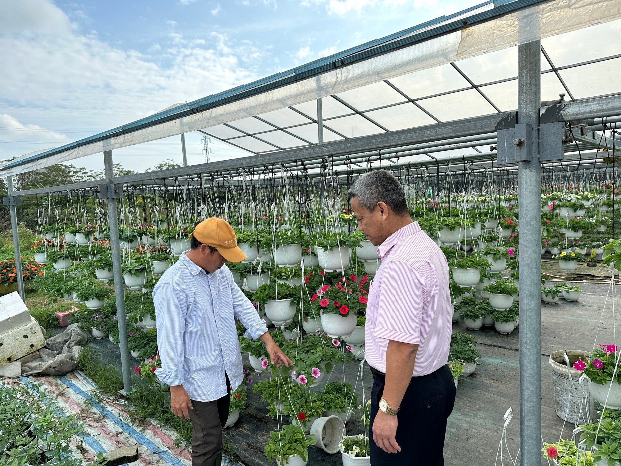 Đà Nẵng: Gần 3.800 lượt hộ nghèo và đối tượng chính sách ở Liên Chiểu được tiếp vốn ưu đãi- Ảnh 3. Đà Nẵng: Gần 3.800 lượt hộ nghèo và đối tượng chính sách ở Liên Chiểu được tiếp vốn ưu đãi- Ảnh 3.