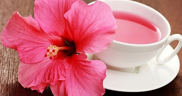 Lợi ích bất ngờ của hoa dâm bụt, trà hoa dâm bụt chữa được bệnh gì?- Ảnh 2. Lợi ích bất ngờ của hoa dâm bụt, trà hoa dâm bụt chữa được bệnh gì?- Ảnh 2.