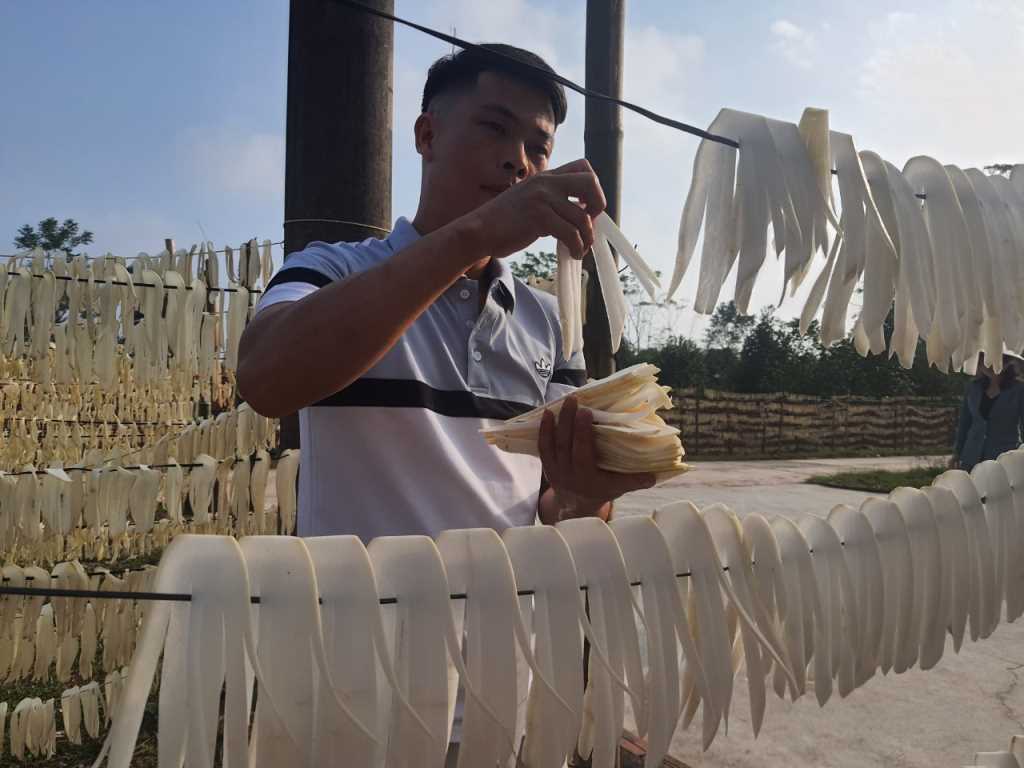 Một loại củ ngon, ăn tốt cho sức khỏe đang giúp nông dân nơi này ở Quảng Ninh tăng thu nhập- Ảnh 1.
