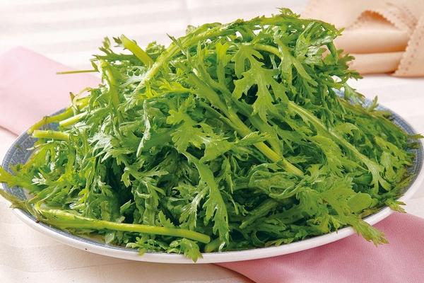 Loại rau cực tốt cho nội tạng, xưa chỉ dùng cho vua chúa, nay mọc đầy trong vườn, giá rất rẻ- Ảnh 3.