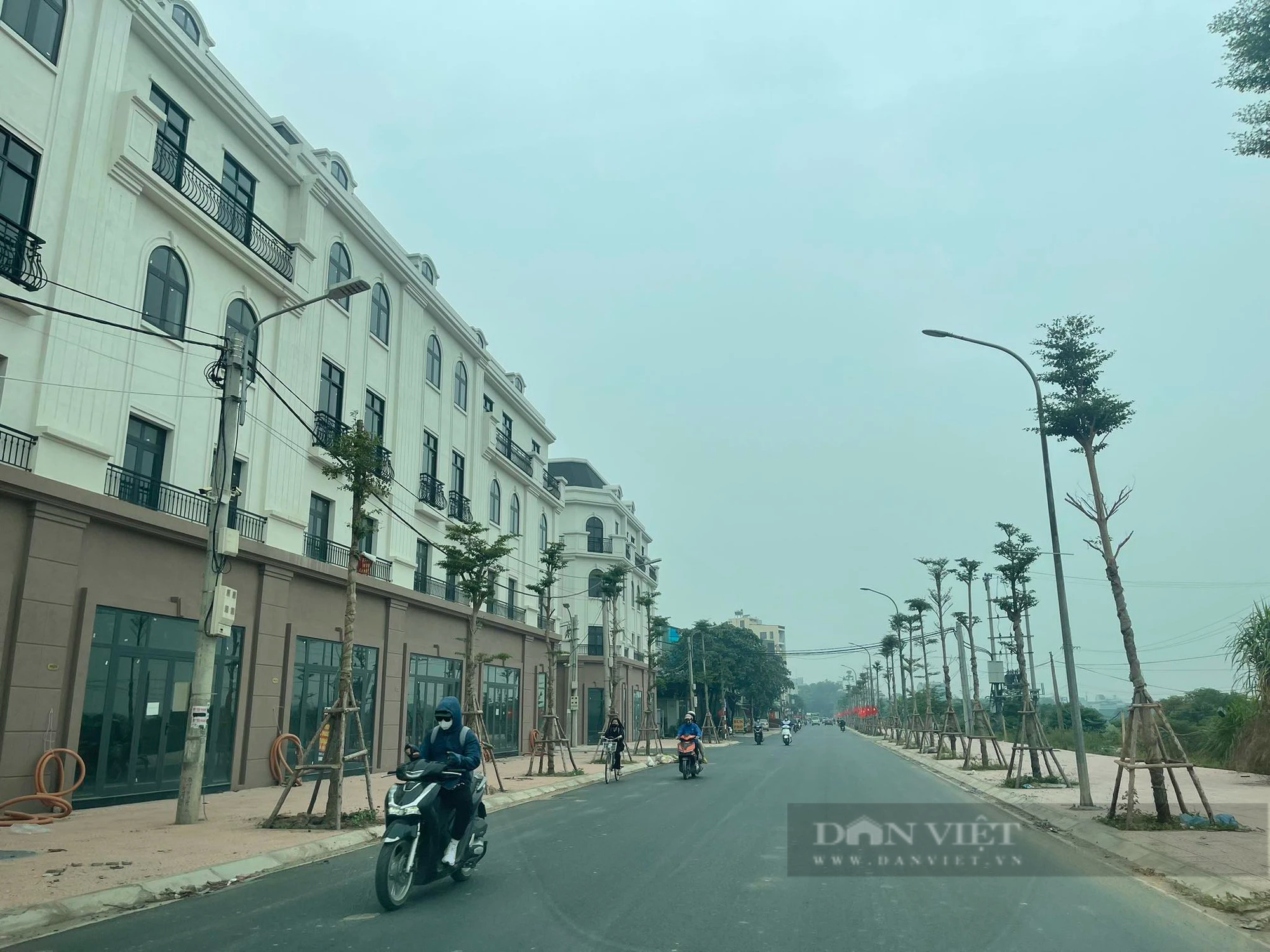 Phổ biến chính sách thuế toàn diện nhờ quyết liệt chuyển đổi số- Ảnh 1.