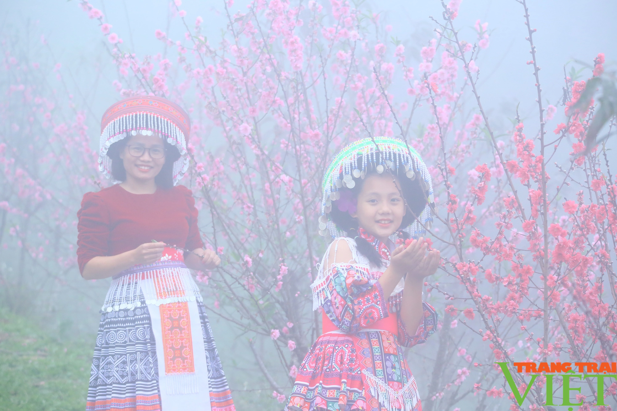 Đèo Pha Đin ngập tràn sắc hoa, thu hút du khách thập phương - Ảnh 3. Đèo Pha Đin ngập tràn sắc hoa, thu hút du khách thập phương - Ảnh 3.
