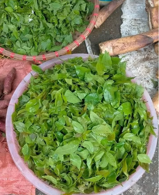 Loại rau này mọc hoang, xưa chỉ có trâu ăn giờ thành đặc sản được ưa chuộng đến lạ- Ảnh 2. Loại rau này mọc hoang, xưa chỉ có trâu ăn giờ thành đặc sản được ưa chuộng đến lạ- Ảnh 2.