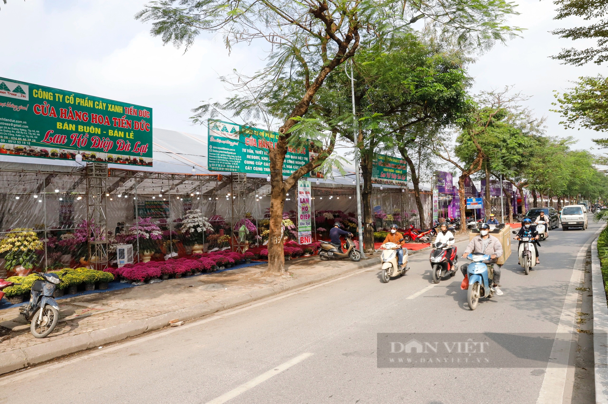 Người dân Thủ đô xuống tiền triệu mua lan hồ điệp chơi Tết Nguyên đán 2024- Ảnh 1.