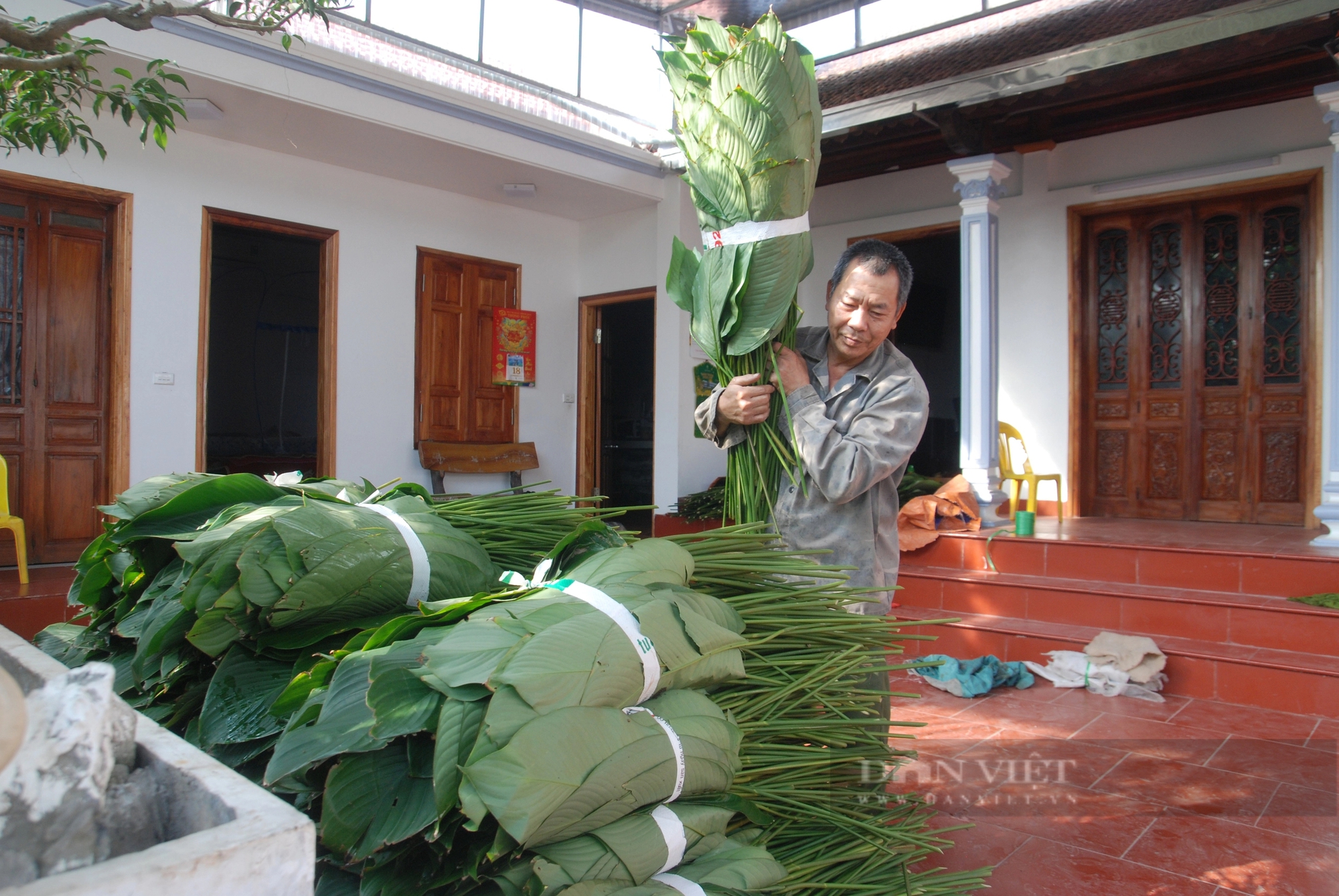 Lá dong Tràng Cát "vượt cổng làng" sang thị trường thế giới- Ảnh 7.