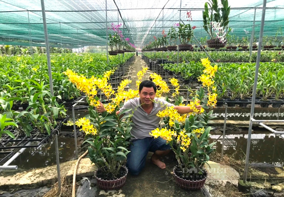 Trồng “nữ hoàng của các loài hoa”, cận Tết Giáp Thìn 2024, nhà vườn đến lúc cầm vàng lại để vàng rơi- Ảnh 3.