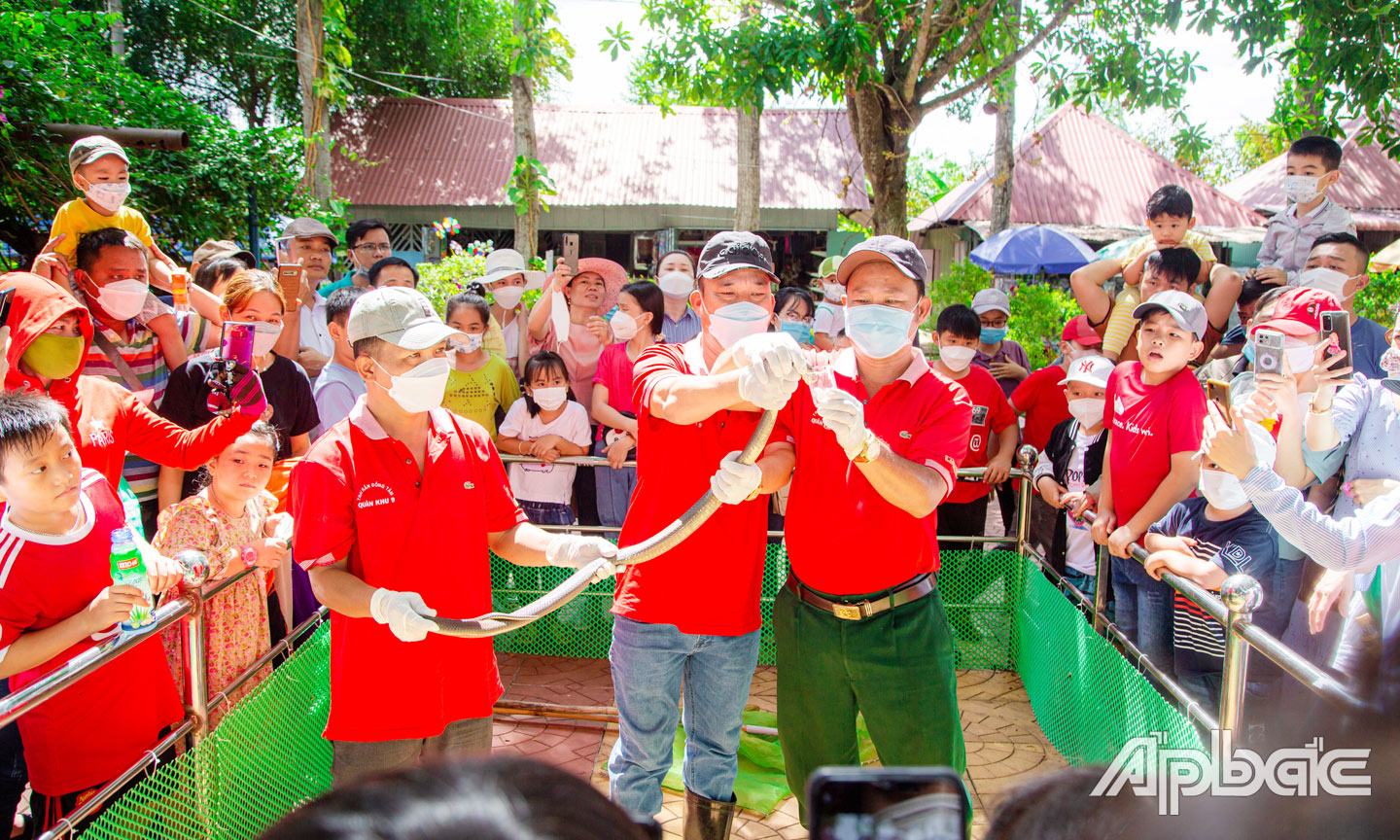 "Vương quốc" thu nhỏ của các loài rắn: Trại Đồng Tâm- Ảnh 3.