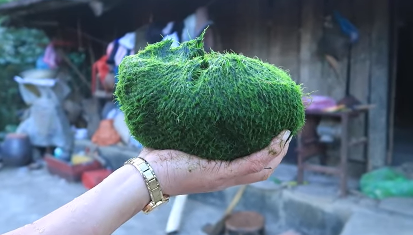 Kỳ lạ rêu suối - Món ăn độc đáo được ví như "vũ nữ dưới làn nước" ngày Tết của người Thái ở Tây Bắc- Ảnh 1. Kỳ lạ rêu suối - Món ăn độc đáo được ví như "vũ nữ dưới làn nước" ngày Tết của người Thái ở Tây Bắc- Ảnh 1.