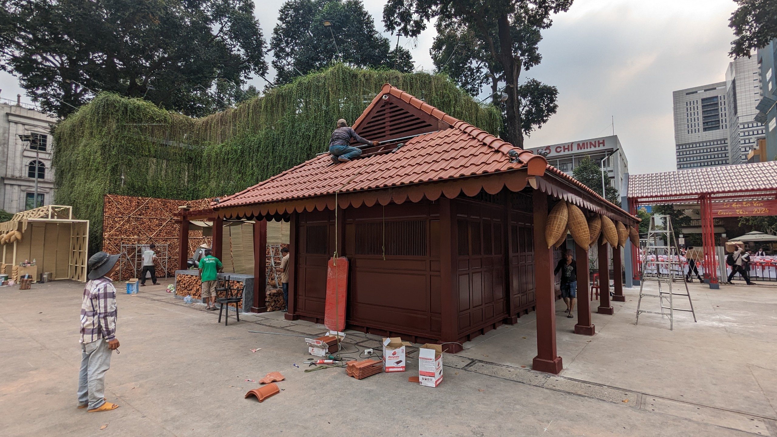 Thỏa sức chụp ảnh với hơn 100 gốc mai vàng tại “Phố ông đồ” ở TP.HCM năm nay- Ảnh 3.