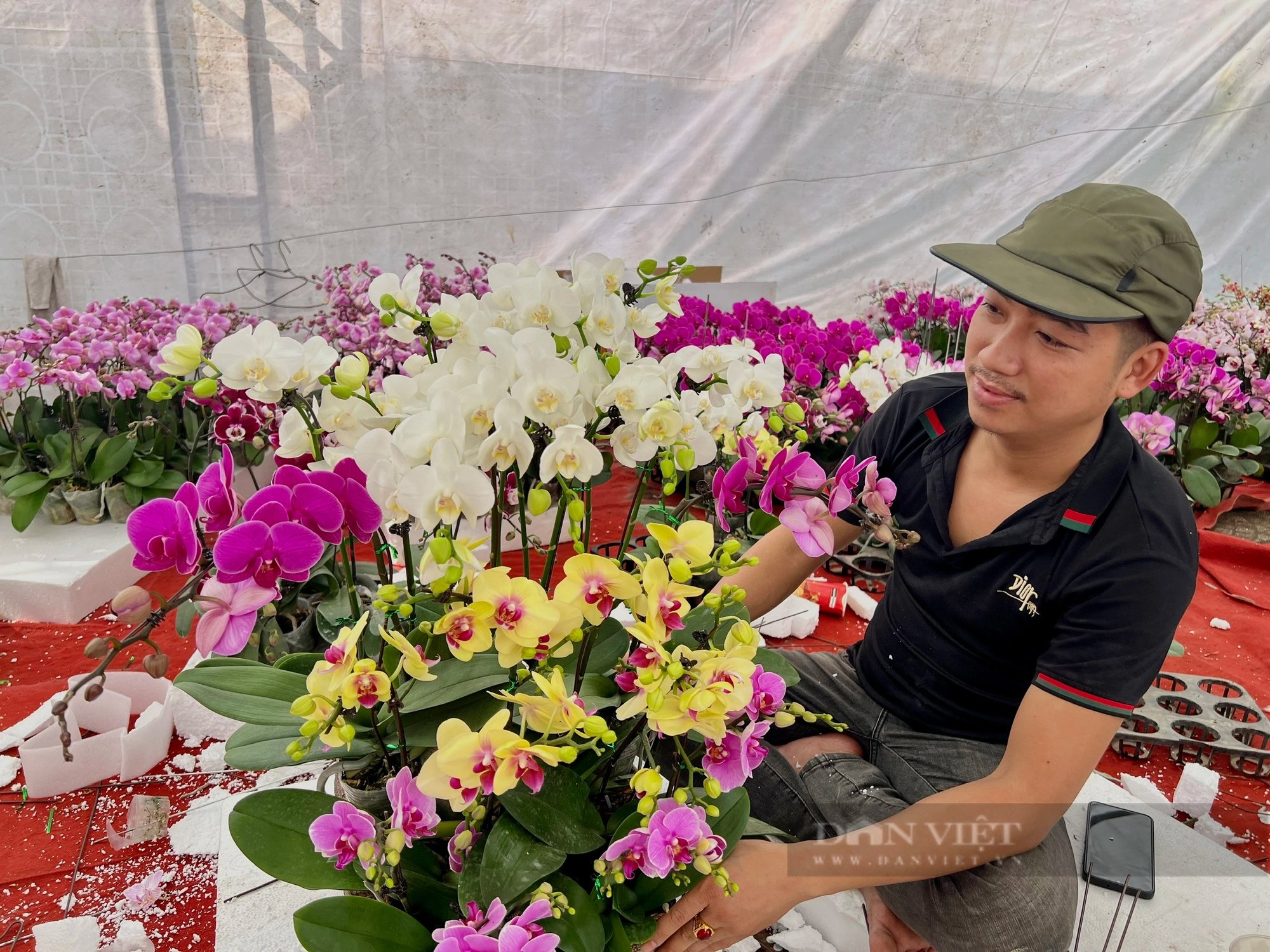 Cây đào rừng 100 năm tuổi, được phát giá hơn 68.868.000 đồng- Ảnh 8.