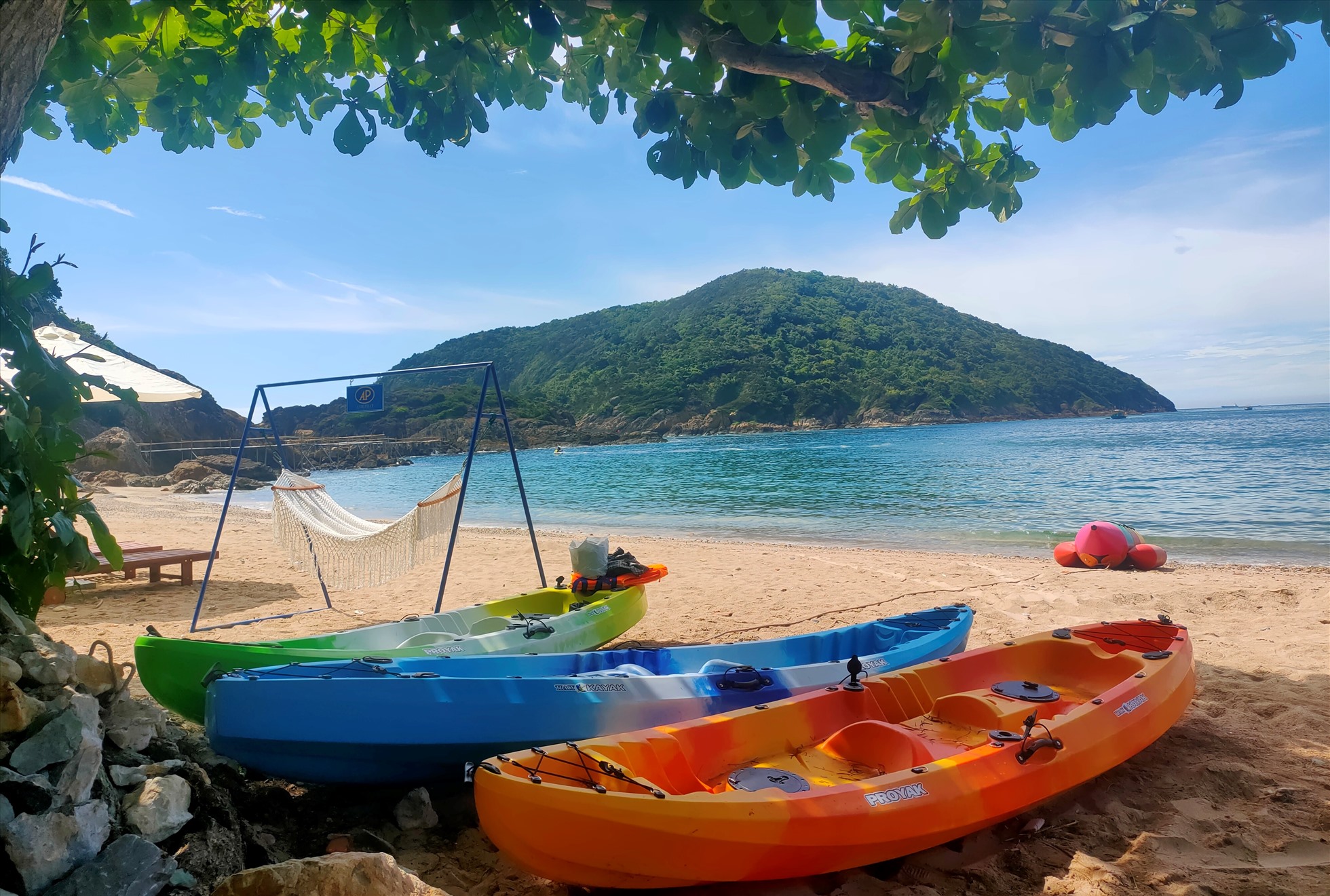 Một quần đảo rộng 450ha cách bờ biển Thanh Hóa 10km đẹp như phim, chim biển bay đầy trời, cảnh hoang sơ- Ảnh 8.