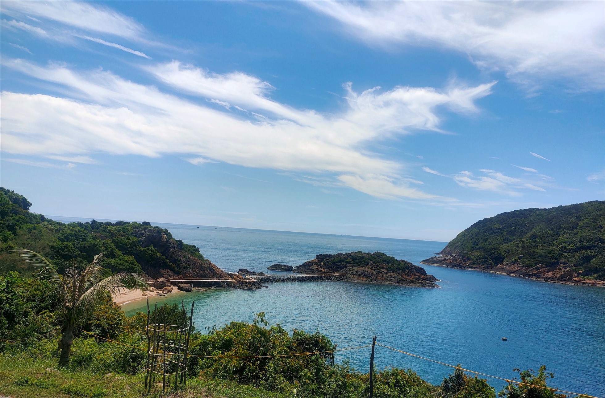 Một quần đảo rộng 450ha cách bờ biển Thanh Hóa 10km đẹp như phim, chim biển bay đầy trời, cảnh hoang sơ- Ảnh 2.
