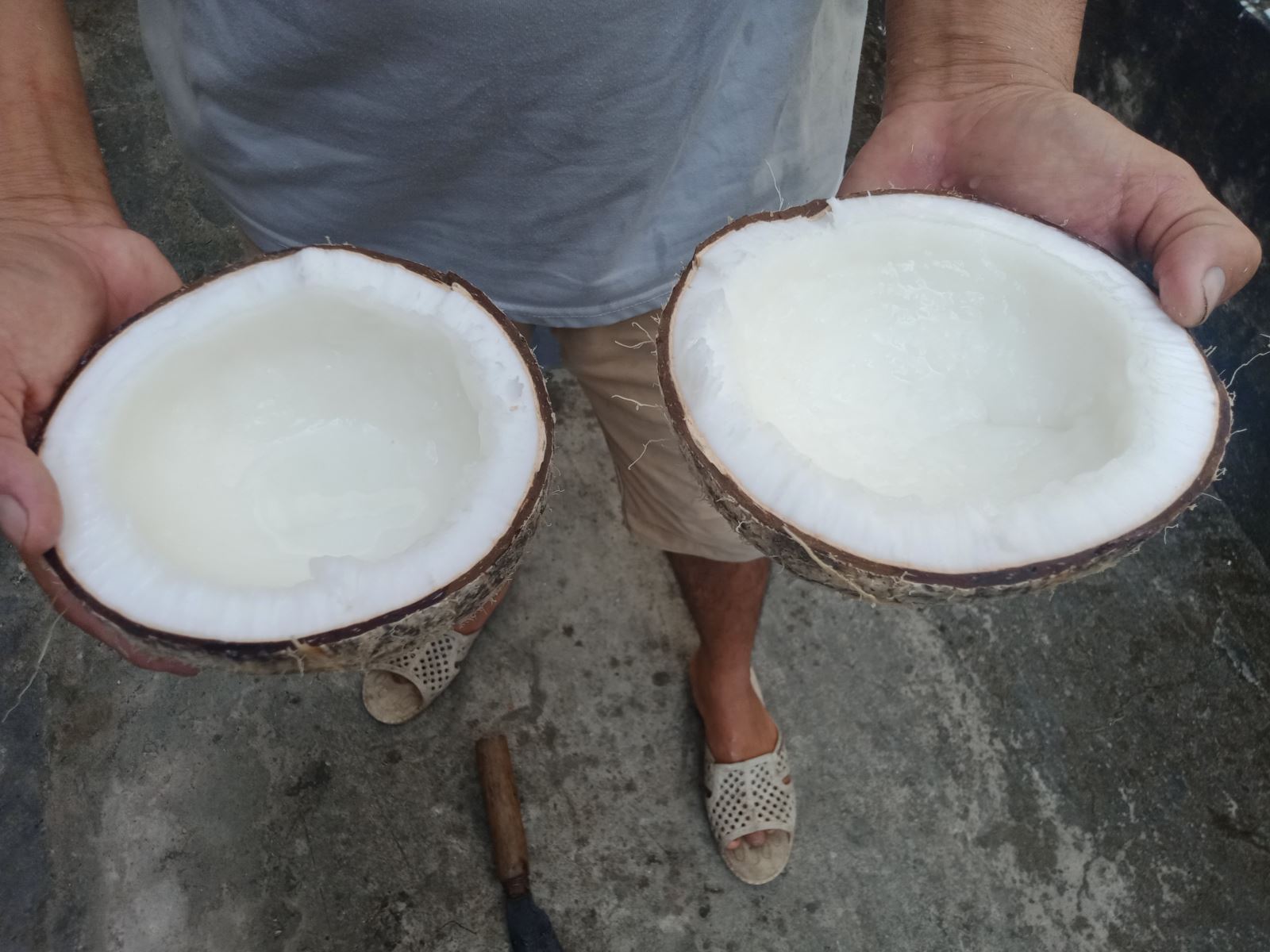 Trồng cây đặc sản, cây thấp tè đã ra trái quá trời, nông dân một nơi ở Hậu Giang lời tiền tỷ- Ảnh 3.