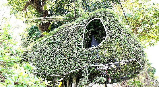 Một cây mai chiếu thủy hình máy bay trực thăng độc, lạ, hút ánh nhìn tại chợ hoa xuân An Giang- Ảnh 1.