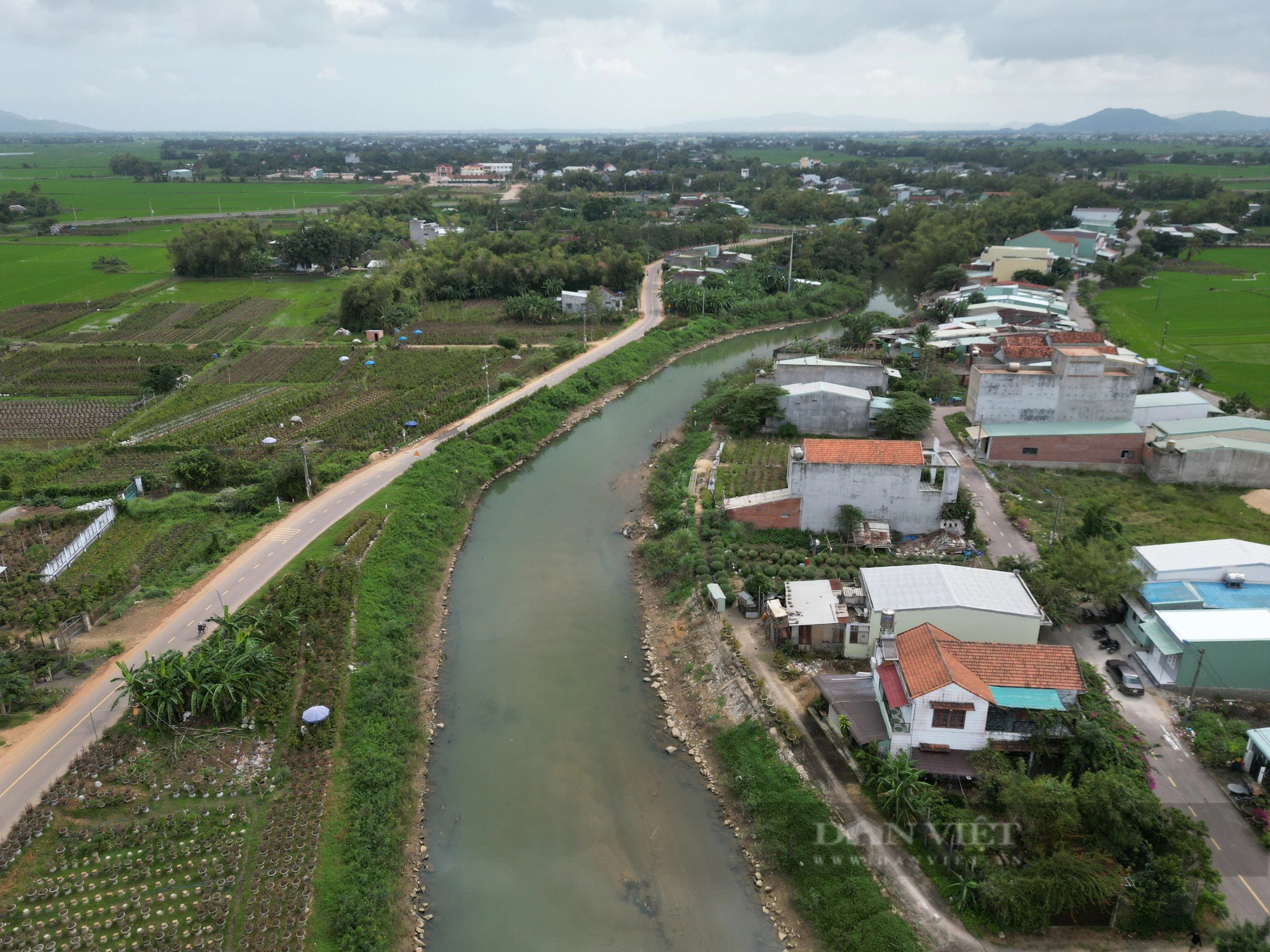 Nghề đặc biệt "ôm cây, lặt lá mai" vào mùa tất bật, nhiều nông dân tranh thủ ăn ngủ với mai kiếm tiền tiêu Tết- Ảnh 6.