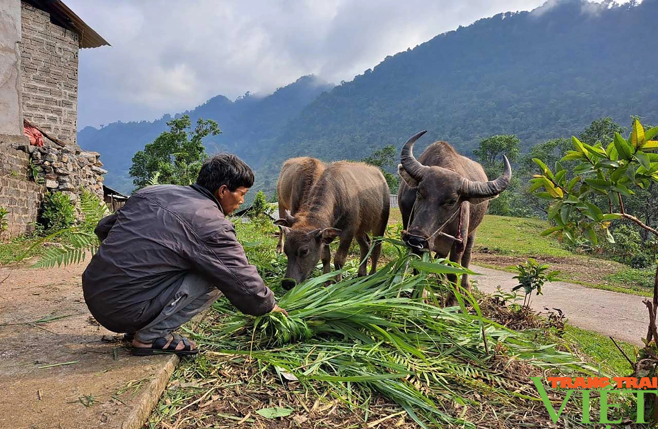 Lai Châu: Tăng cường phòng chống rét, hạn hán, thiếu nước phục vụ sản xuất nông nghiệp- Ảnh 3. Lai Châu: Tăng cường phòng chống rét, hạn hán, thiếu nước phục vụ sản xuất nông nghiệp- Ảnh 3.