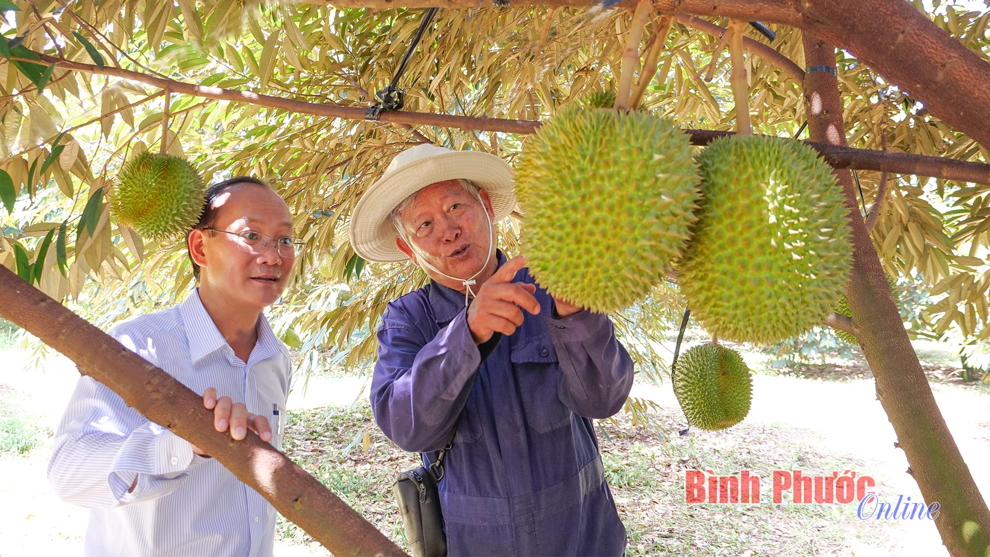 Những nông dân tạo ra 'nông sản hạnh phúc' ở Bình Phước- Ảnh 3.