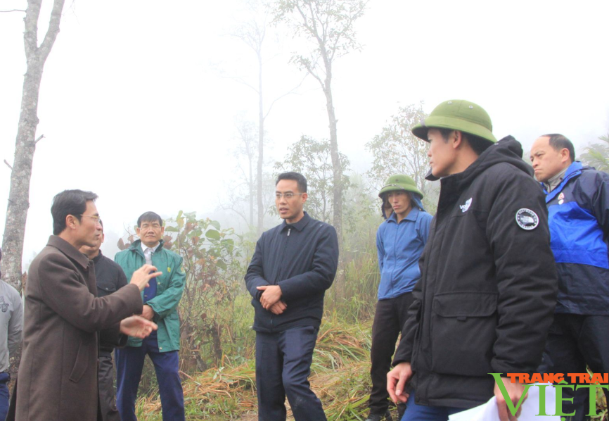 Lai Châu: Tìm mặt bằng bố trí dân cư bản Hồ Sì Pán, xã Pu Sam Cáp, huyện Sìn Hồ- Ảnh 6.