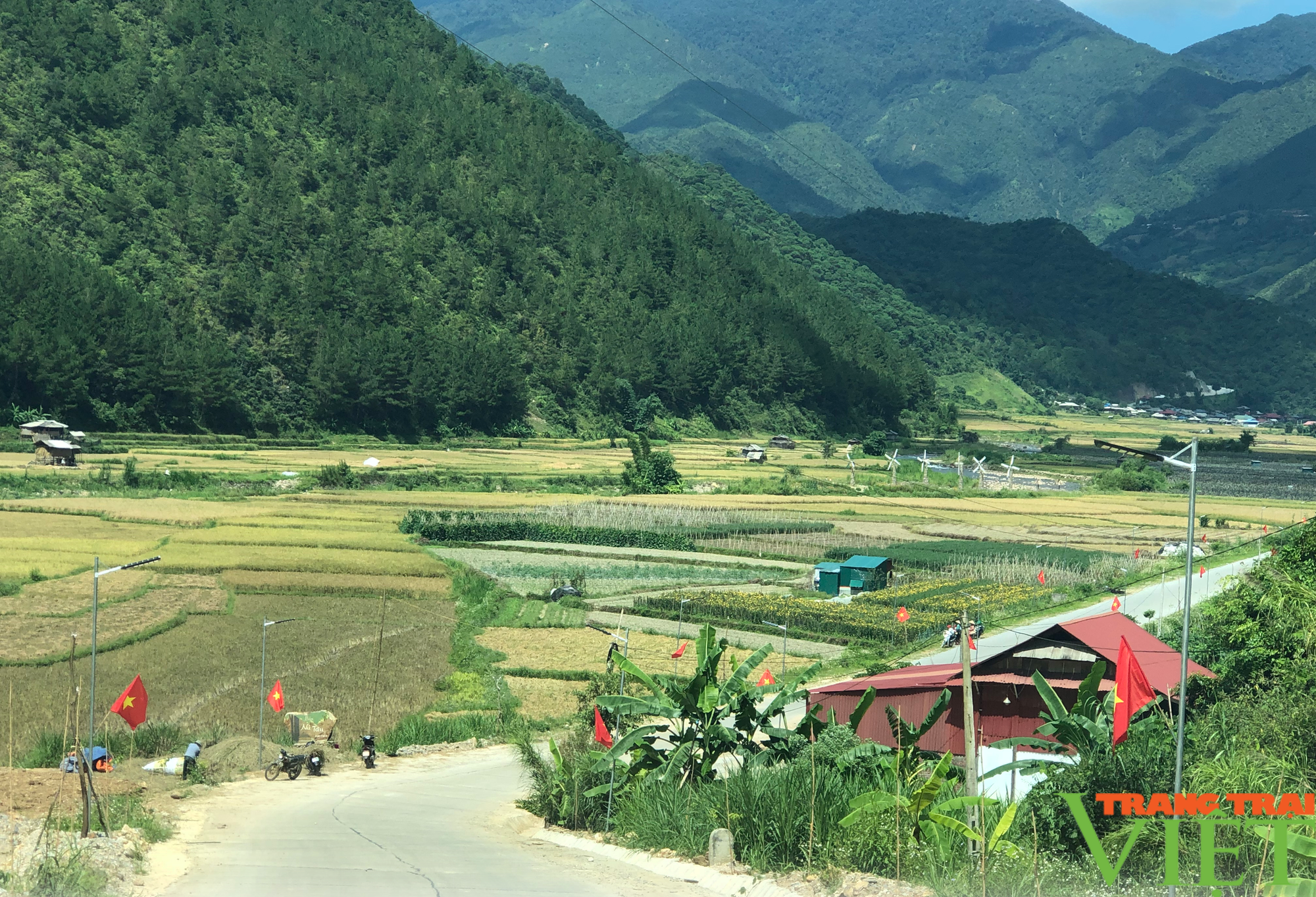 Mường La phát huy thế mạnh phát triển nông nghiệp, nông thôn- Ảnh 3.