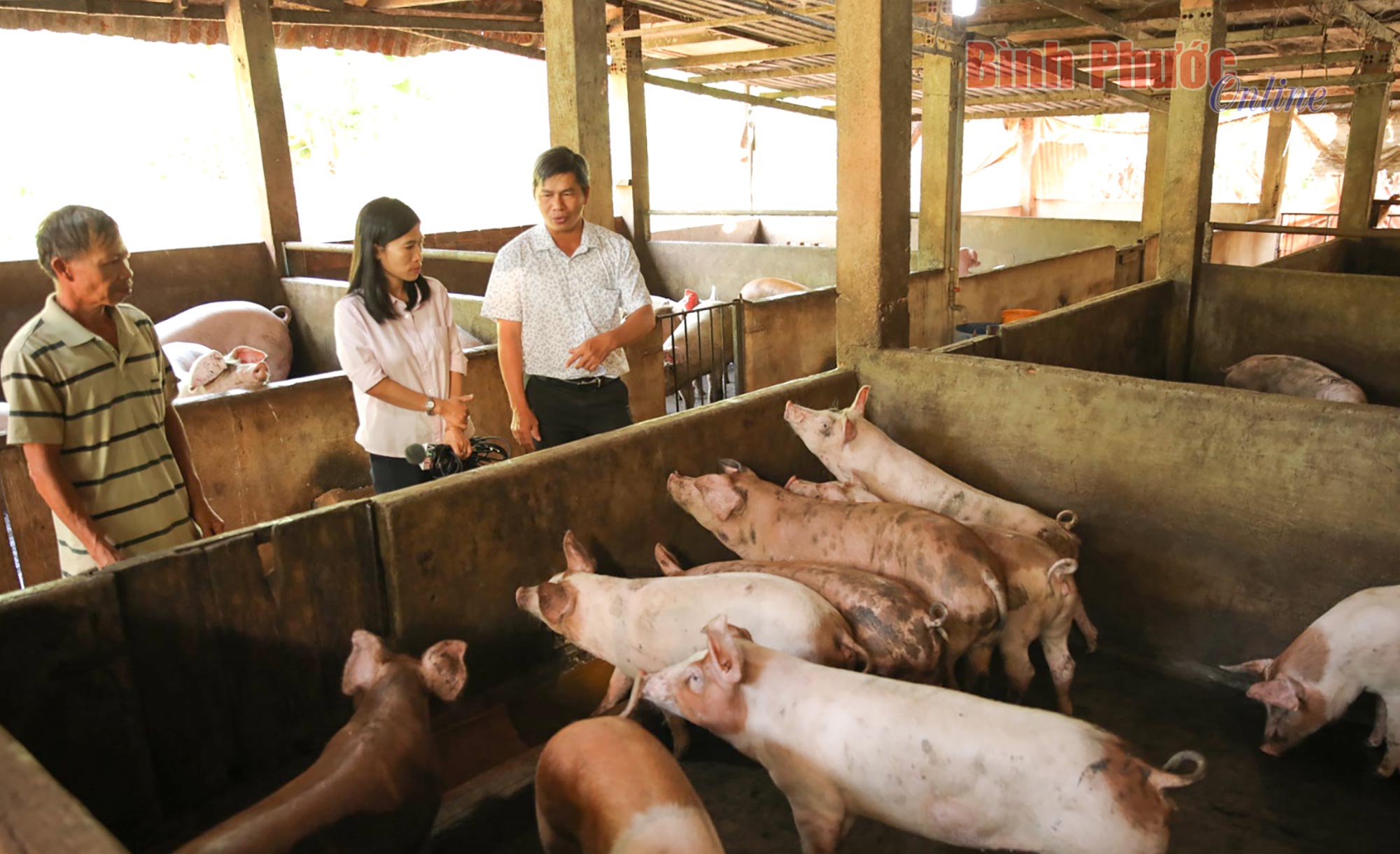 Những nông dân tạo ra 'nông sản hạnh phúc' ở Bình Phước- Ảnh 2.