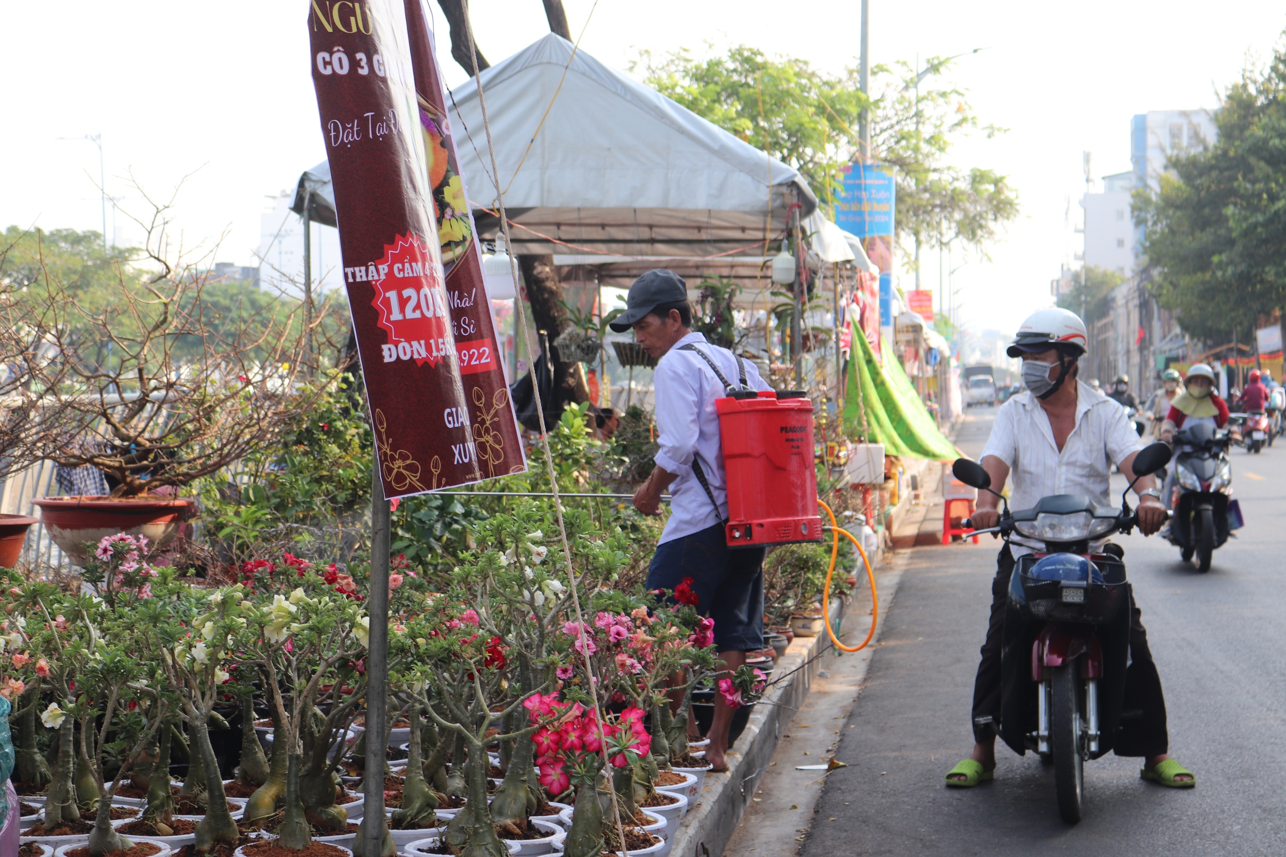 Chợ hoa Bến Bình Đông đã mở bán, tiểu thương hy vọng  buôn bán khởi sắc- Ảnh 4.