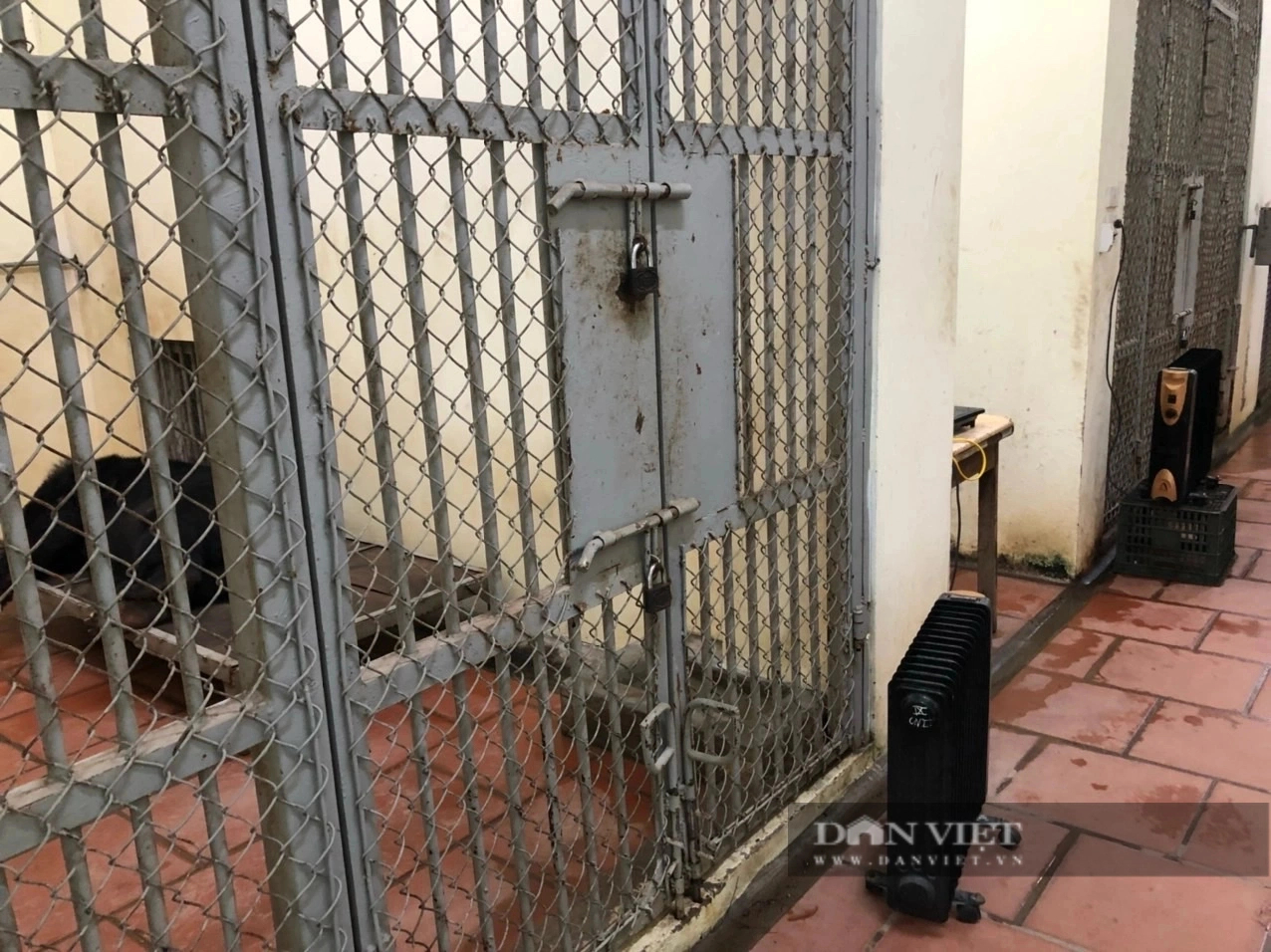 Sự thật về hình ảnh đàn khỉ co ro, gầy trơ xương vì trời lạnh ở Vườn thú Thủ Lệ- Ảnh 4.