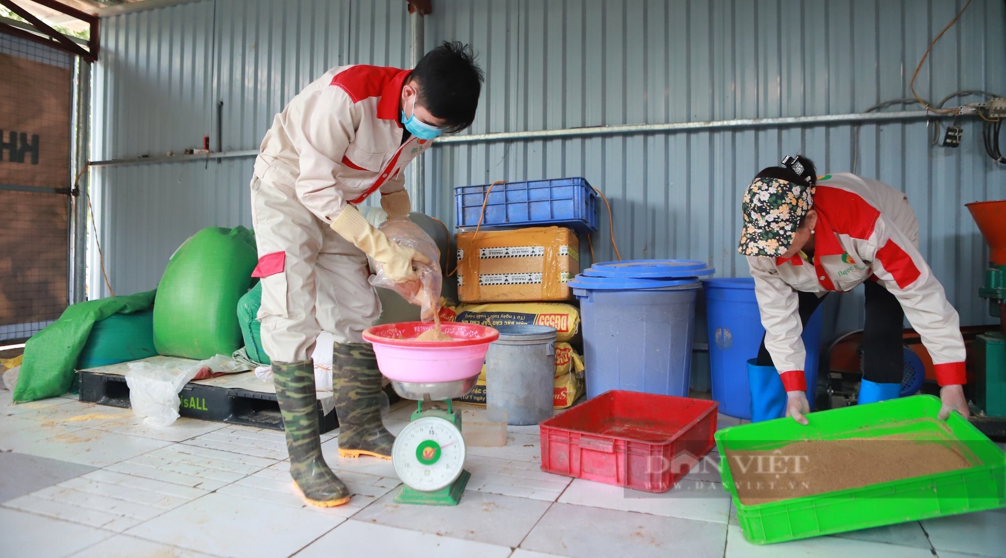 Sướng như gà ác Ngọc Hương được ăn sâu canxi, đông trùng hạ thảo, thịt ngon cỡ nào mà cháy hàng dịp Tết?- Ảnh 3.