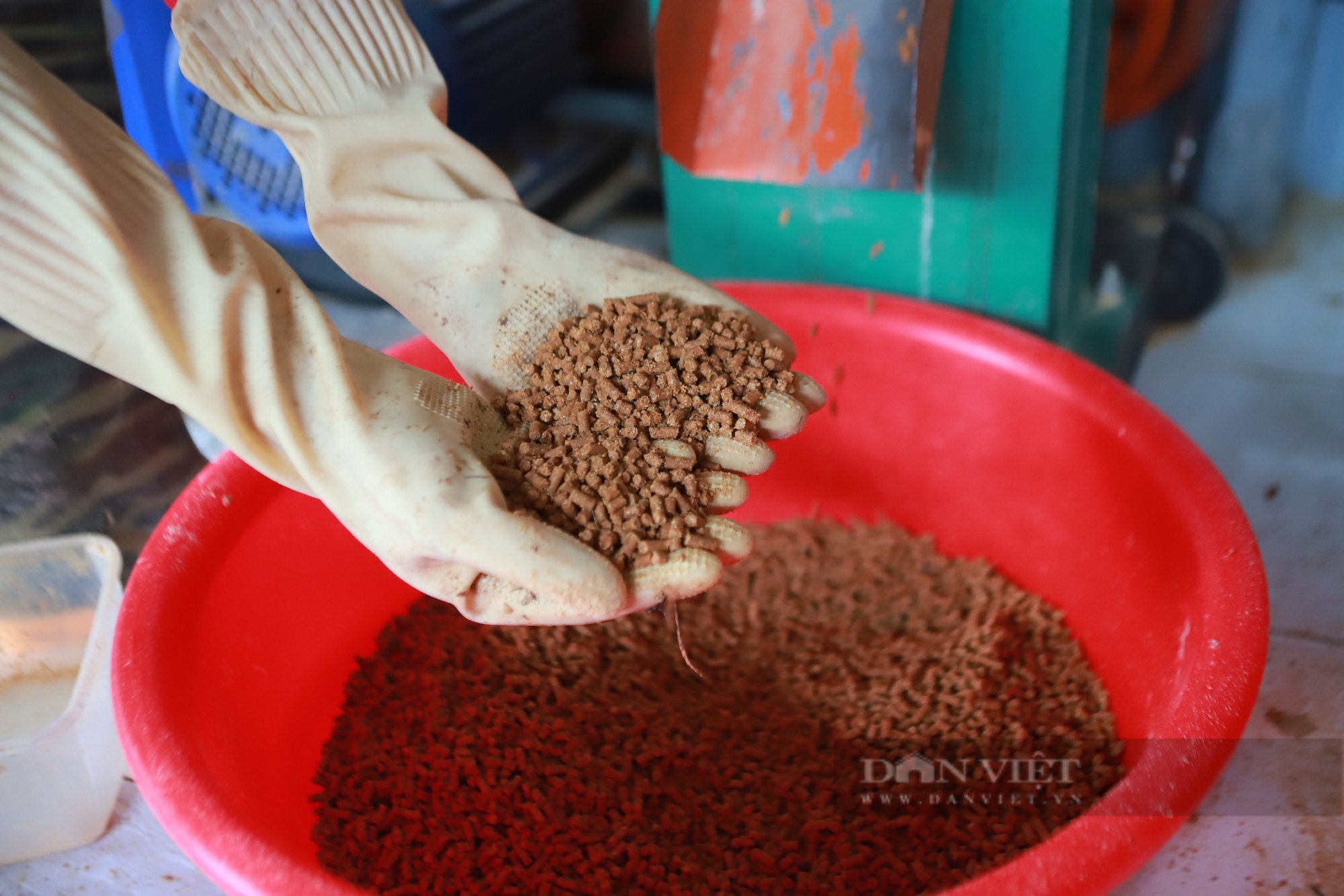 Sướng như gà ác Ngọc Hương được ăn sâu canxi, đông trùng hạ thảo, thịt ngon cỡ nào mà cháy hàng dịp Tết?- Ảnh 6.