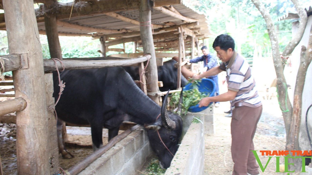 Thuận Châu: Xây dựng tổ chức Hội vững mạnh, đáp ứng yêu cầu công tác hội- Ảnh 2.