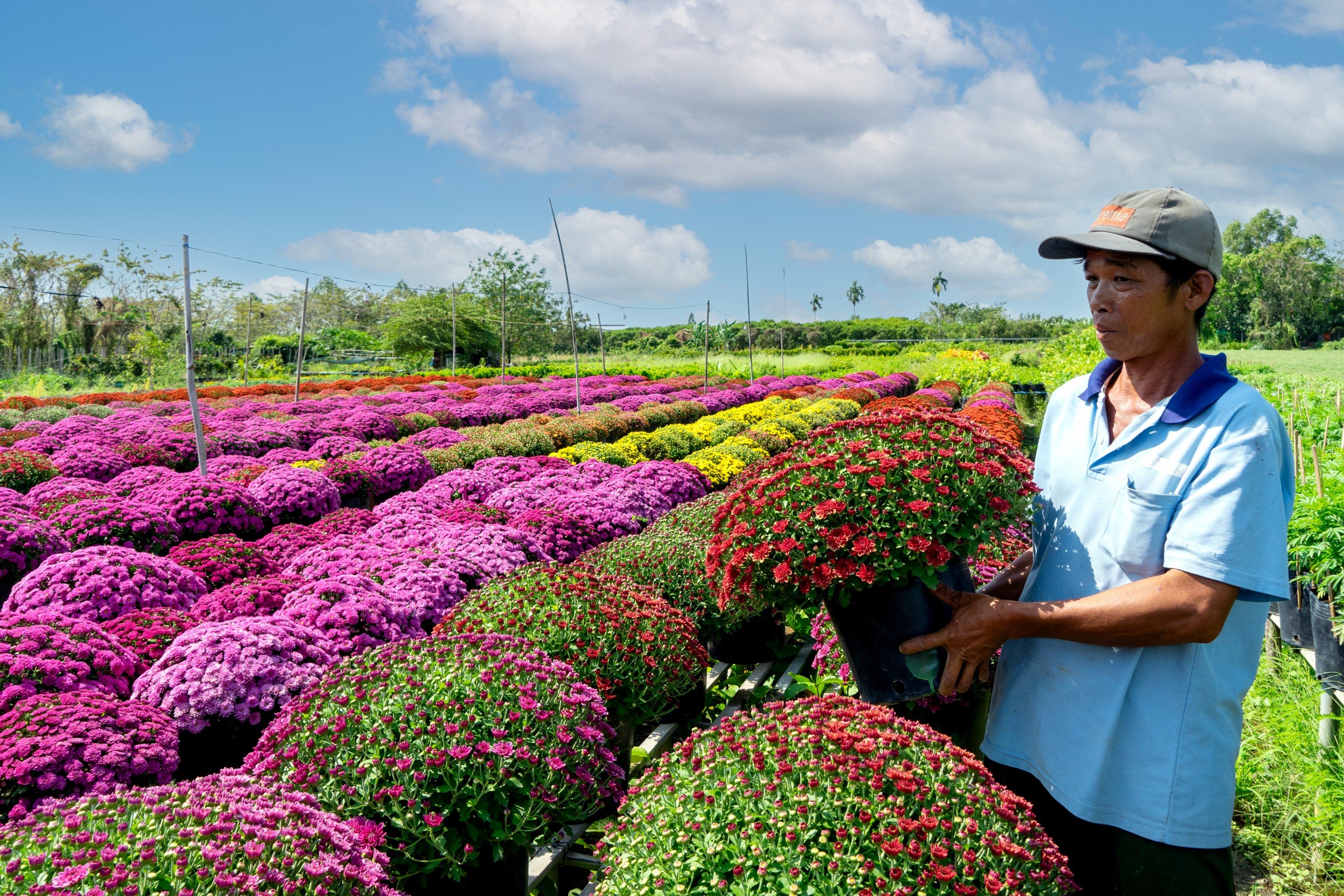 TP.HCM sắp diễn ra một chợ hoa Tết mà người bán, người mua đều vui hết cỡ- Ảnh 2.