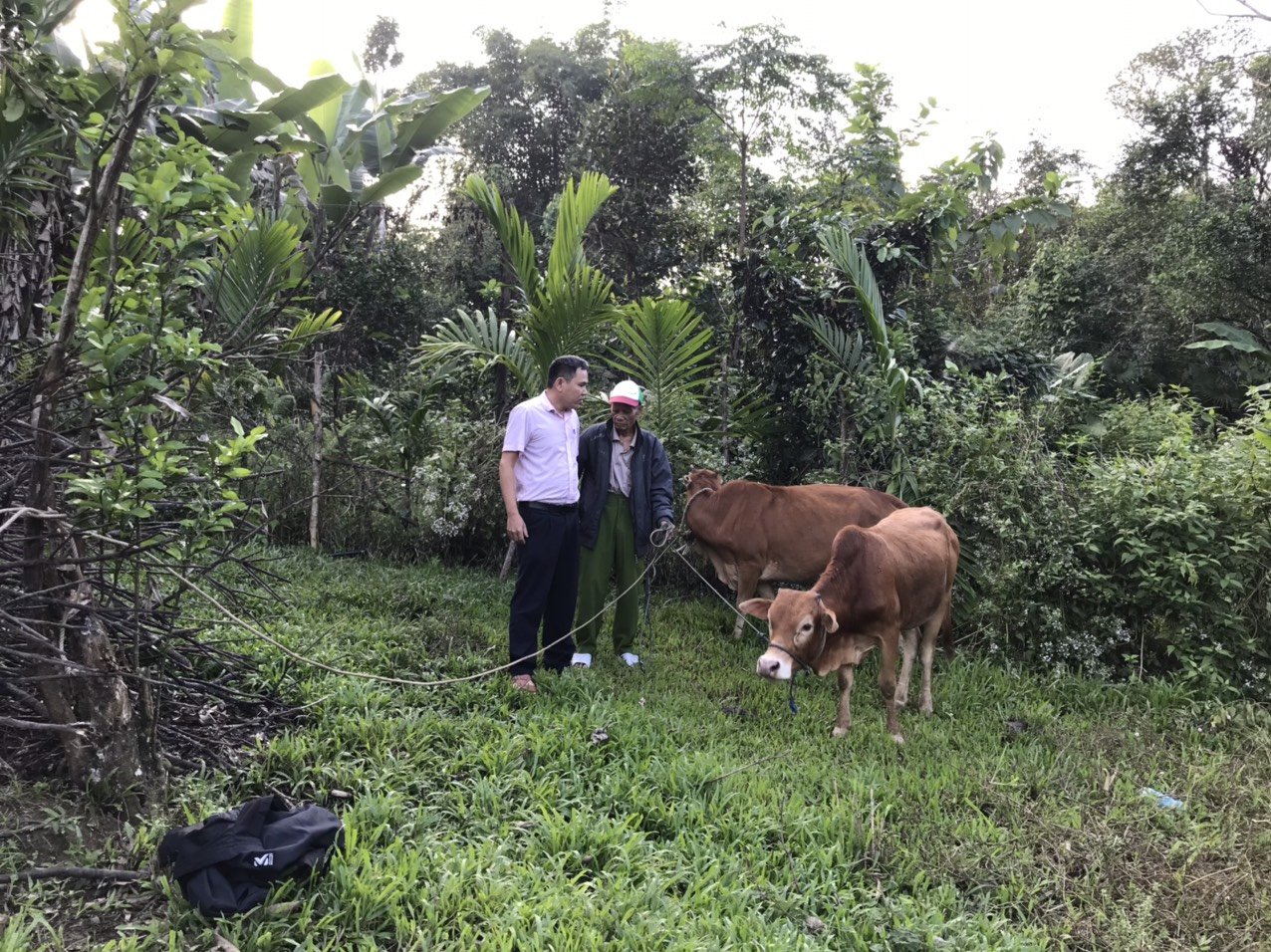 Quảng Nam: Vốn tín dụng chính sách giúp người dân huyện miền núi Nam Giang có việc làm, thoát nghèo bền vững - Ảnh 1.