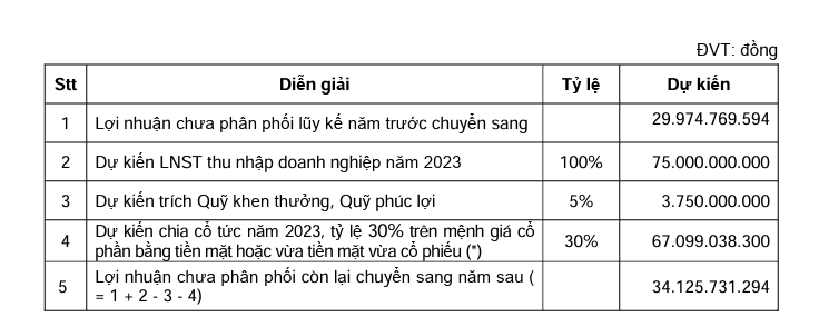 Gỗ Đức Thành (GDT) sắp chi 21,5 tỷ đồng tạm ứng cổ tức đợt 1/2023- Ảnh 1.