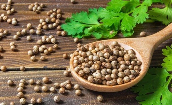 Không chỉ thơm nức, tô điểm cho món ăn, rau này có công dụng tuyệt vời với sức khỏe và làm đẹp- Ảnh 2. Không chỉ thơm nức, tô điểm cho món ăn, rau này có công dụng tuyệt vời với sức khỏe và làm đẹp- Ảnh 2.