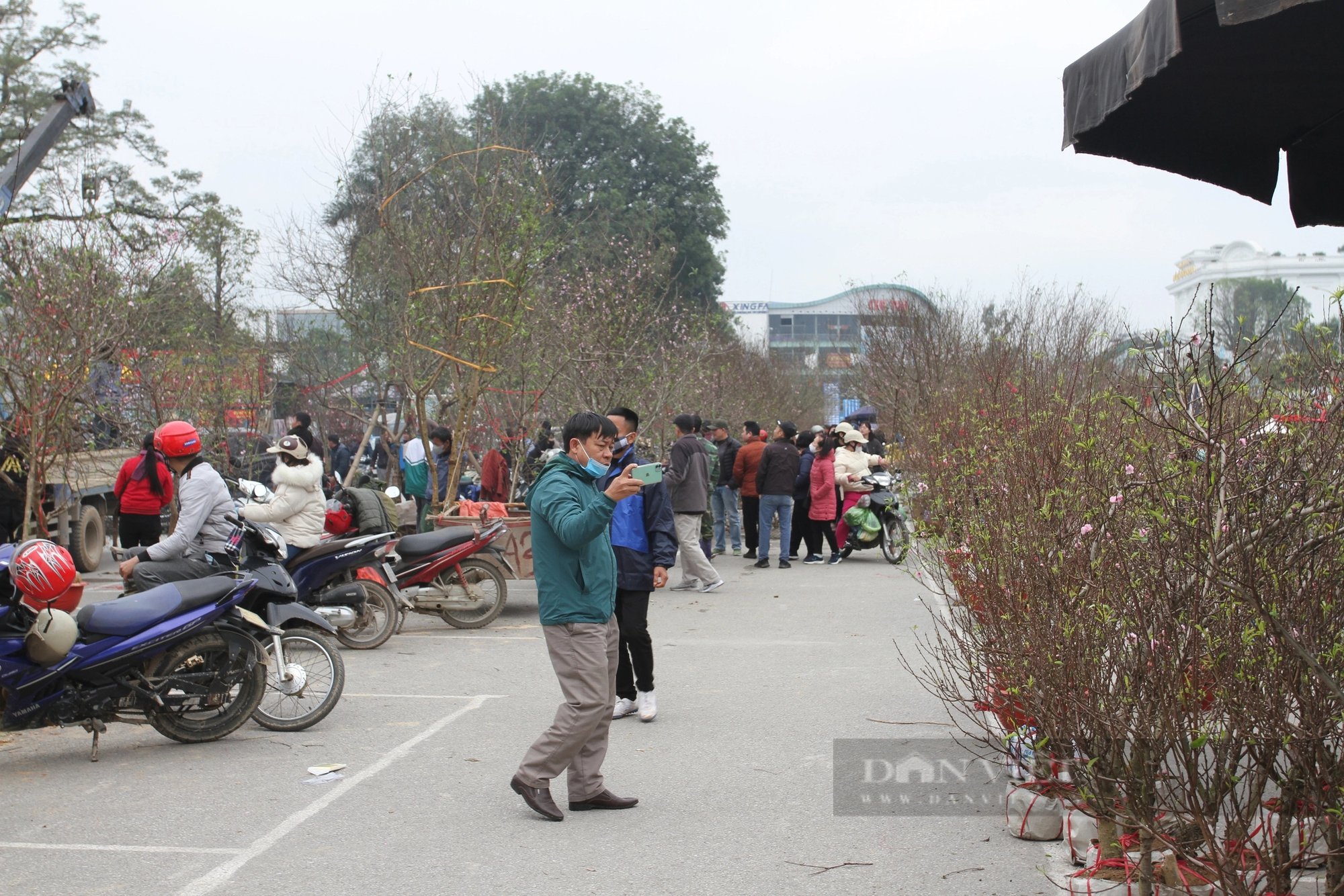 Chợ hoa cây cảnh tết Thái Nguyên, dân tấp nập xem, tiểu thương nóng ruột - Ảnh 1.