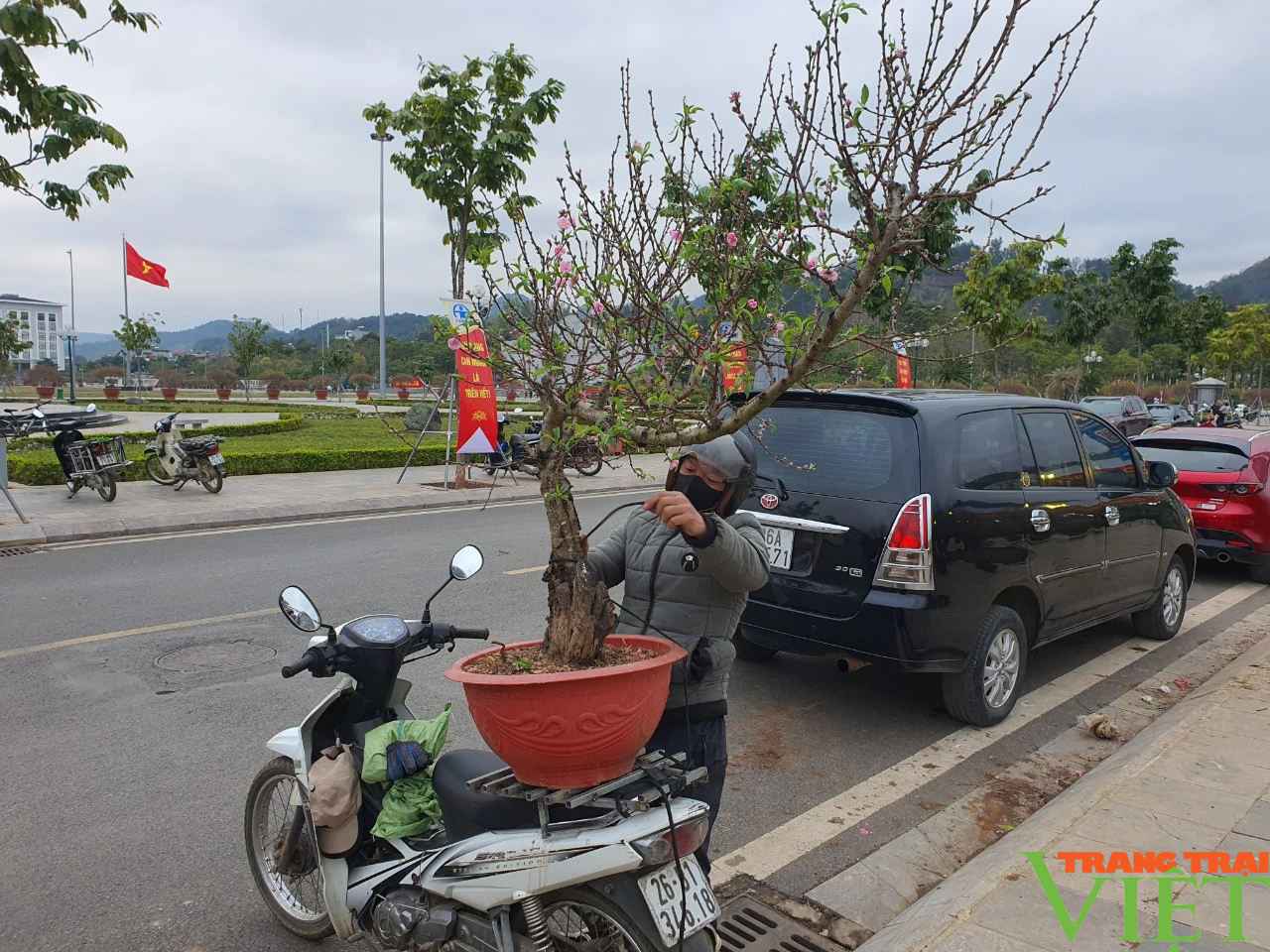 Chợ hoa Xuân thành phố Sơn La hút khách ngày đầu khai mạc- Ảnh 9.