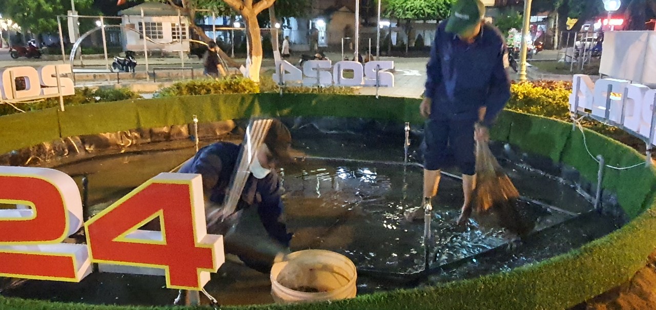 Mô hình cá chép hóa rồng bất ngờ bị cháy rụi ở Nha Trang- Ảnh 2.