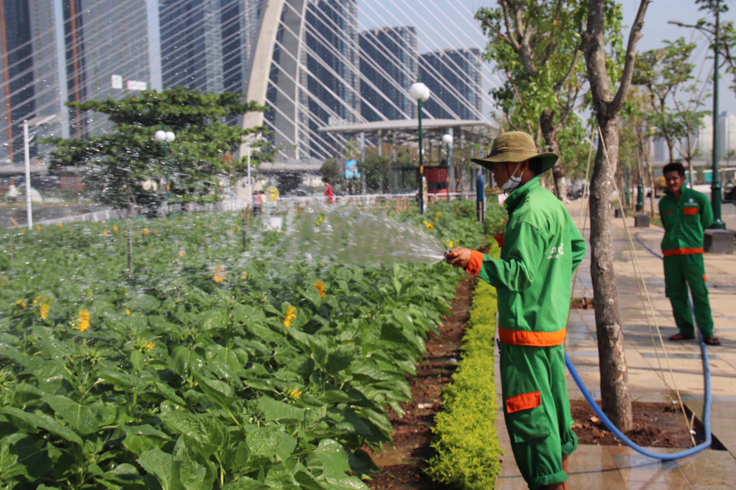 Công viên bờ sông Sài Gòn rực rỡ, các gian hàng chợ hoa Tết nối tiếp nhau khoe sắc- Ảnh 5.