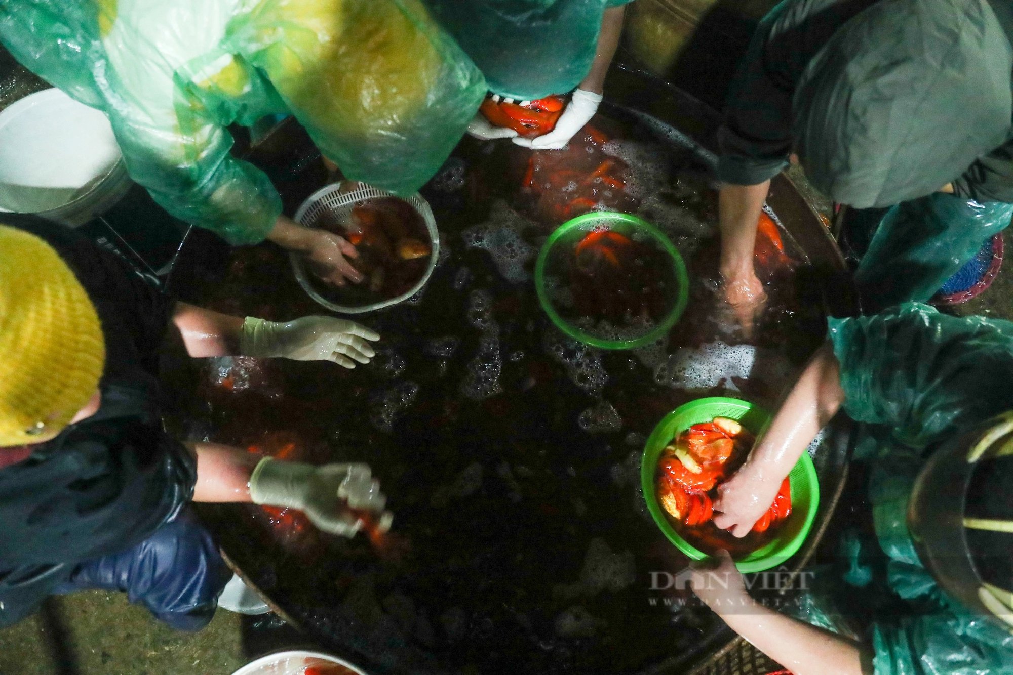 Chợ cá lớn nhất Thủ đô ngập tràn sắc đỏ, bán xuyên đêm trước ngày ông Công, ông Táo về trời- Ảnh 5.