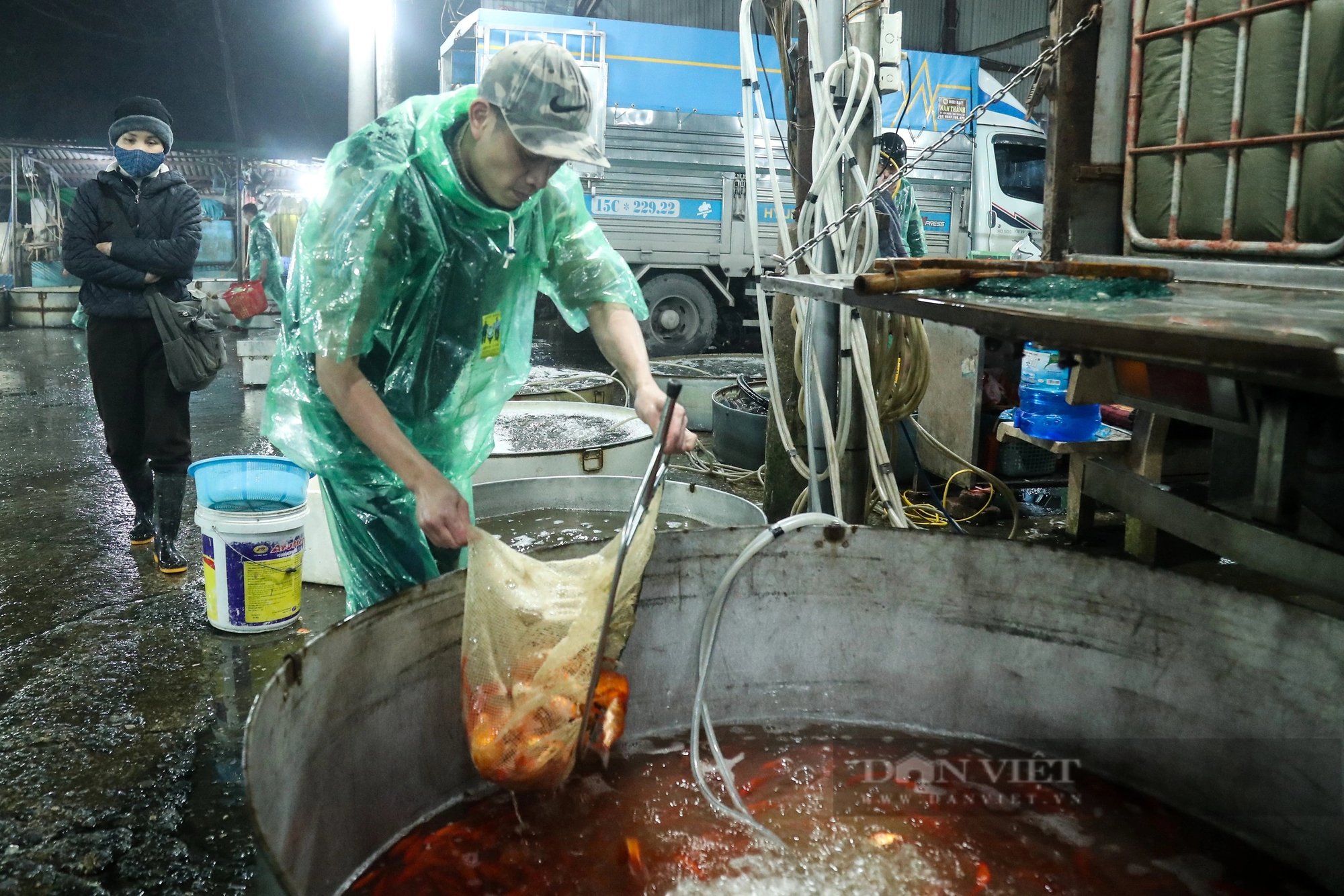 Chợ cá lớn nhất Thủ đô ngập tràn sắc đỏ, bán xuyên đêm trước ngày ông Công, ông Táo về trời- Ảnh 6.