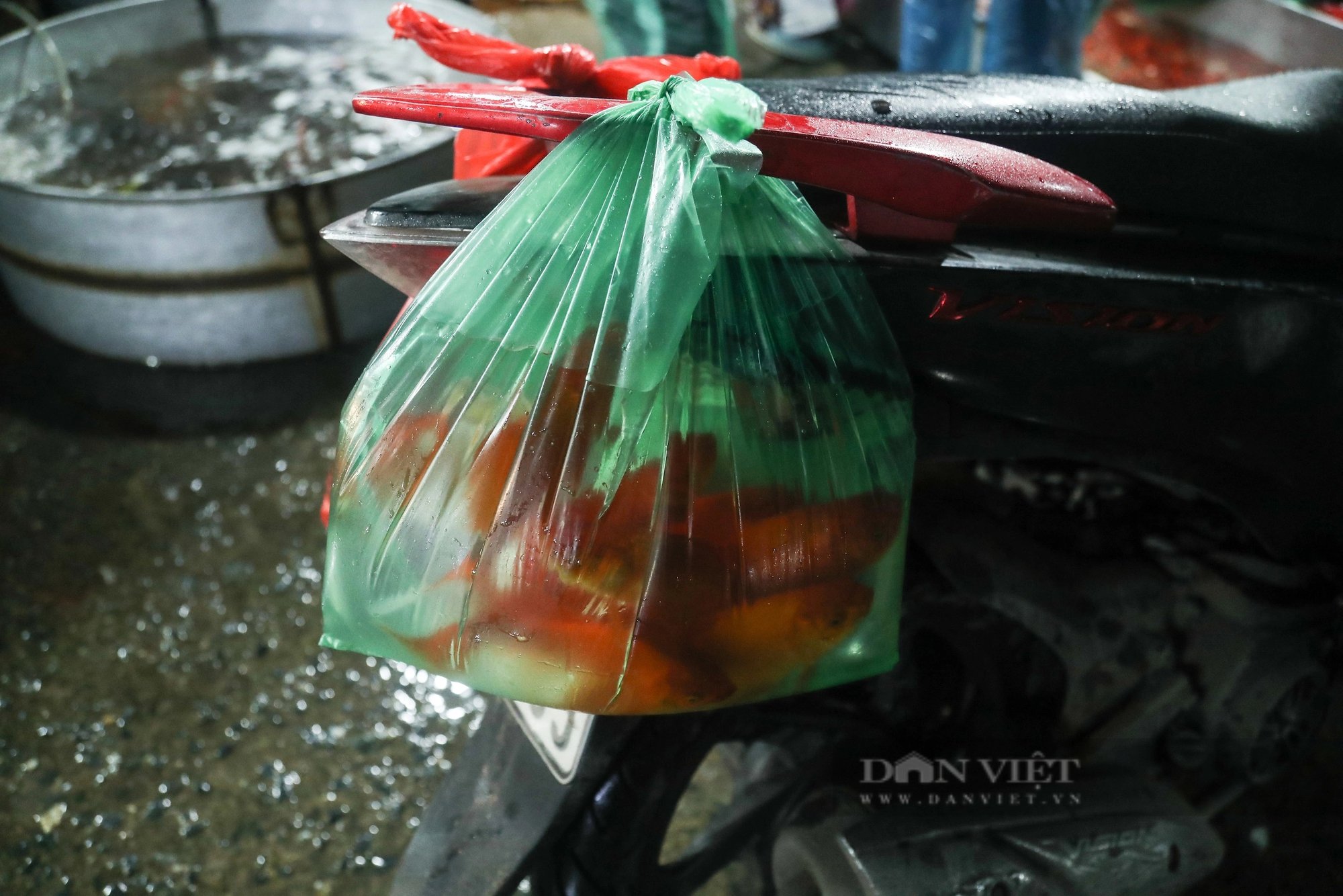 Chợ cá lớn nhất Thủ đô ngập tràn sắc đỏ, bán xuyên đêm trước ngày ông Công, ông Táo về trời- Ảnh 10.