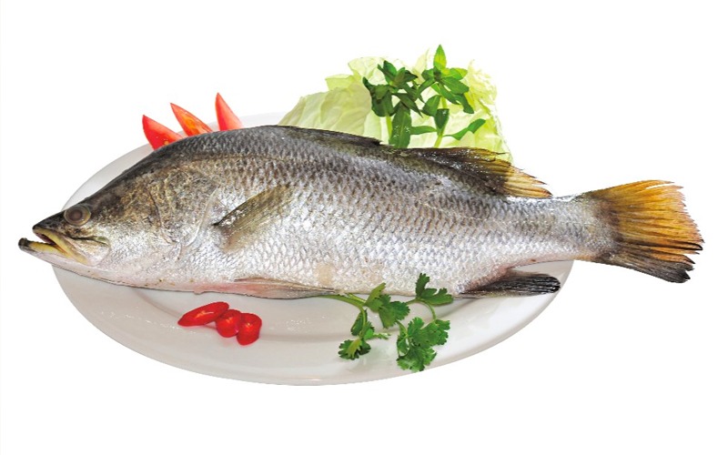Ăn 1 cân loại thịt này bằng 10 cân thịt bò, dưỡng da, dưỡng khí, đem hấp ngon ngọt, bổ dưỡng- Ảnh 1.