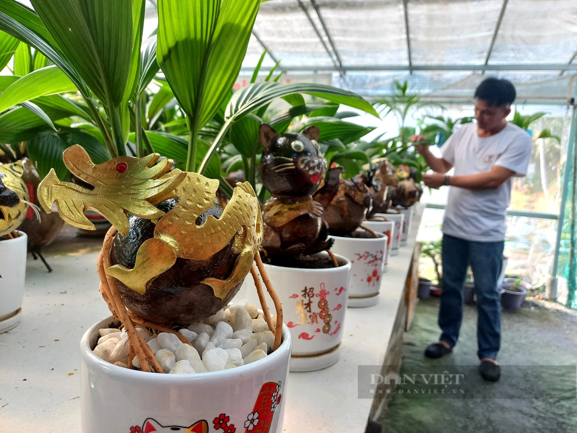 Cho cây bonsai này hóa rồng bán tận Hà Nội chơi Tết Giáp Thìn, chàng trai TP HCM thu bộn tiền - Ảnh 5.