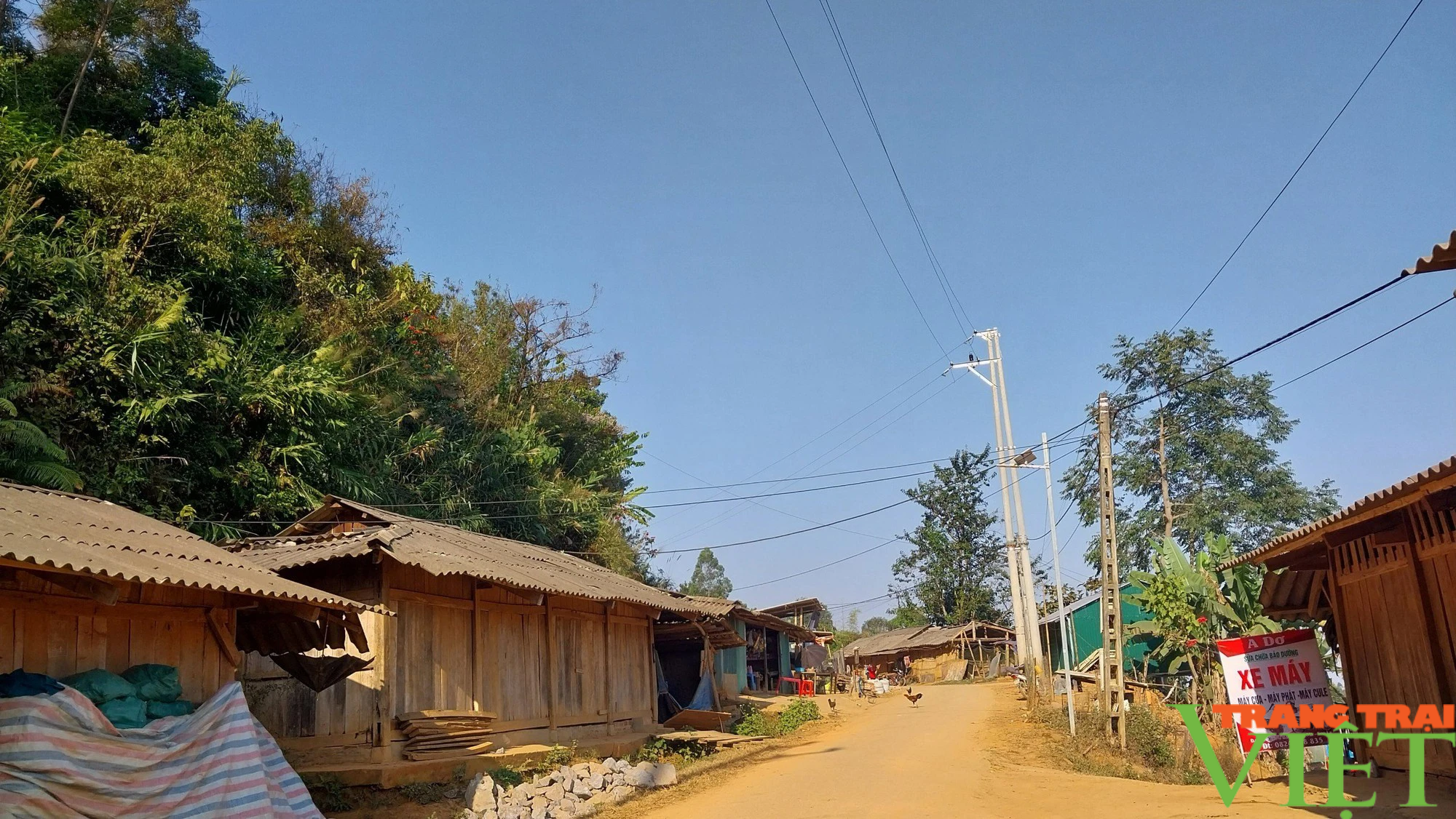 Xây dựng môi trường nông thôn Sông Mã sáng - xanh - sạch - đẹp- Ảnh 1.